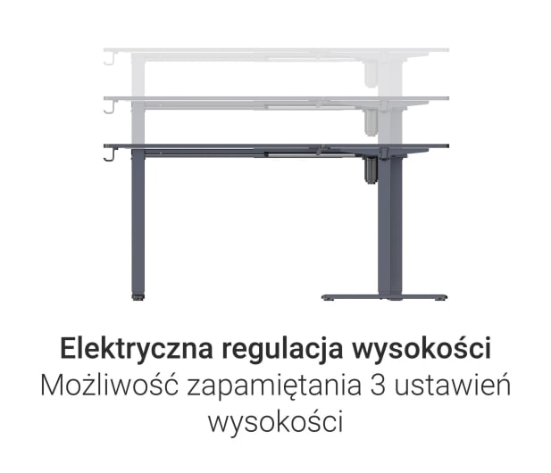 Silver Monkey Biurko elektryczne ECD-300 black - 1258051 - zdjęcie 5